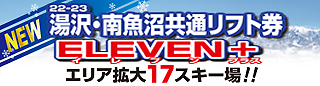 イレブンプラス